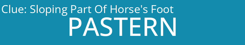 Sloping Part Of Horse's Foot