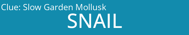 Slow Garden Mollusk