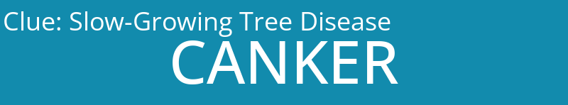 Slow-Growing Tree Disease