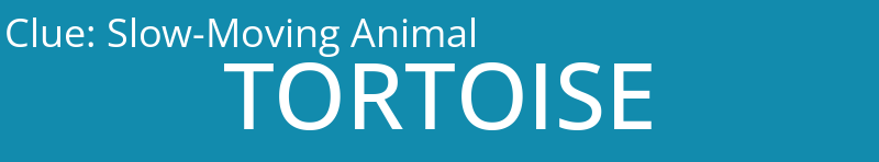 Slow-Moving Animal