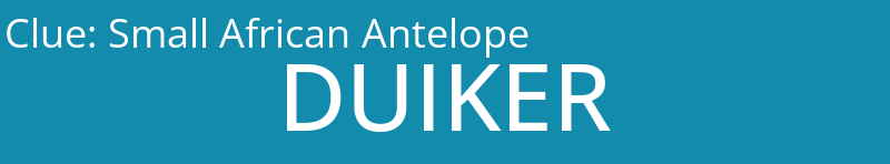 Small African Antelope