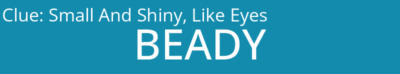 Small And Shiny, Like Eyes