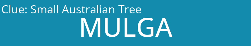 Small Australian Tree