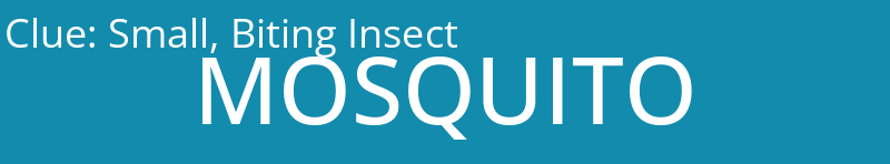 Small, Biting Insect