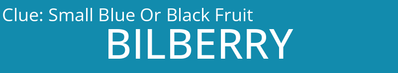Small Blue Or Black Fruit