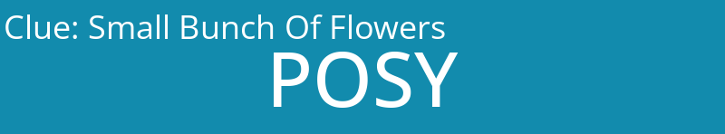 Small Bunch Of Flowers