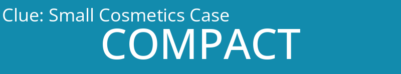 Small Cosmetics Case