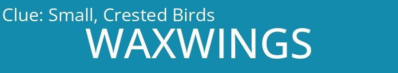 Small, Crested Birds