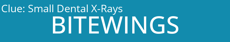 Small Dental X-Rays