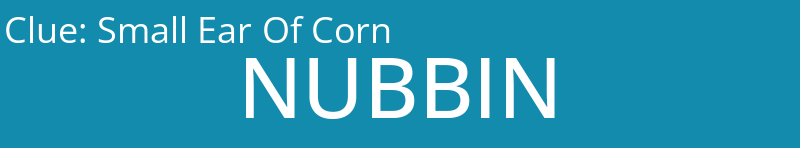 Small Ear Of Corn