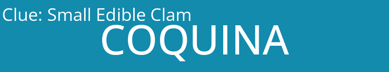 Small Edible Clam