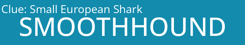 Small European Shark