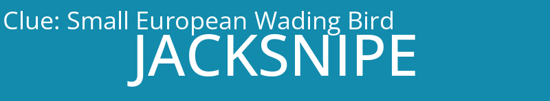 Small European Wading Bird