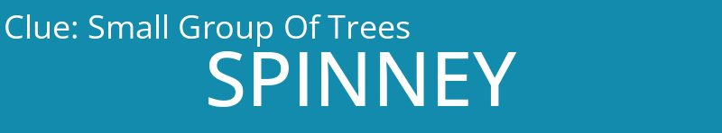 Small Group Of Trees