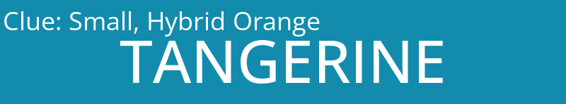 Small, Hybrid Orange