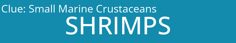 Small Marine Crustaceans
