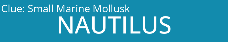Small Marine Mollusk