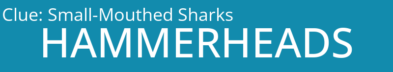 Small-Mouthed Sharks