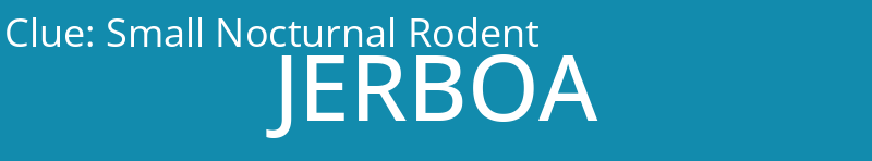 Small Nocturnal Rodent