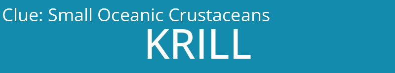 Small Oceanic Crustaceans