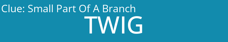 Small Part Of A Branch