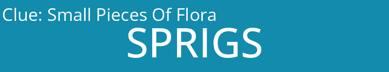 Small Pieces Of Flora