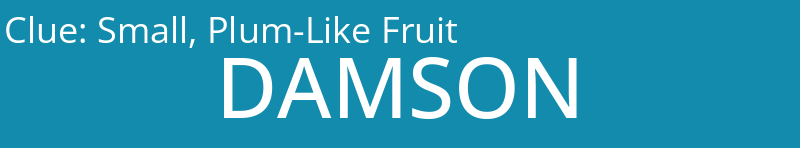 Small, Plum-Like Fruit