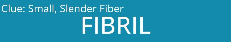 Small, Slender Fiber