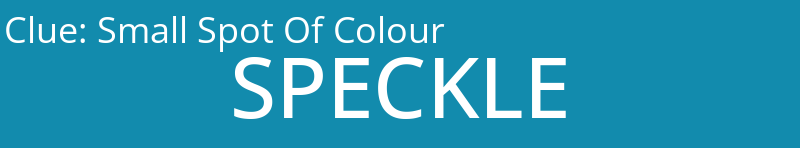 Small Spot Of Colour