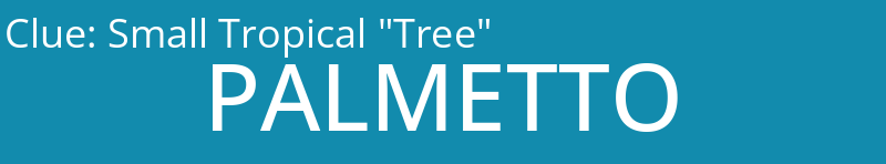 Small Tropical "Tree"