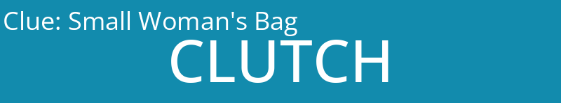Small Woman's Bag