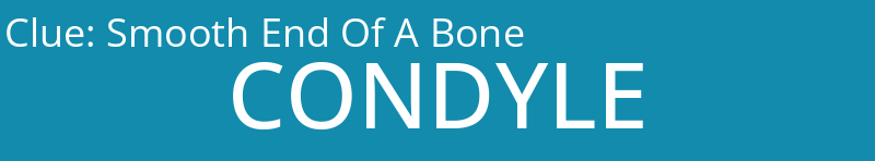 Smooth End Of A Bone