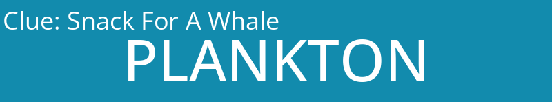 Snack For A Whale