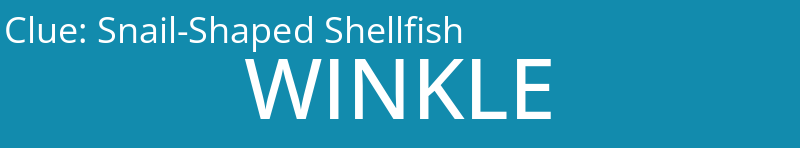 Snail-Shaped Shellfish