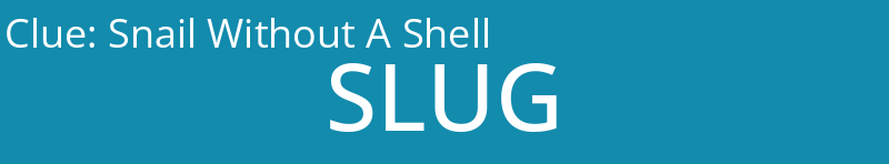 Snail Without A Shell
