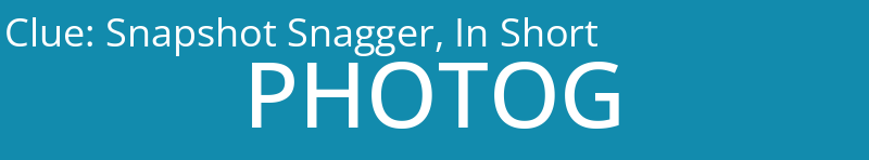 Snapshot Snagger, In Short