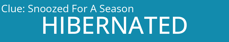 Snoozed For A Season