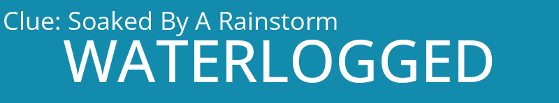 Soaked By A Rainstorm