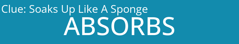 Soaks Up Like A Sponge