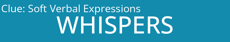 Soft Verbal Expressions