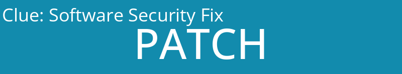 Software Security Fix