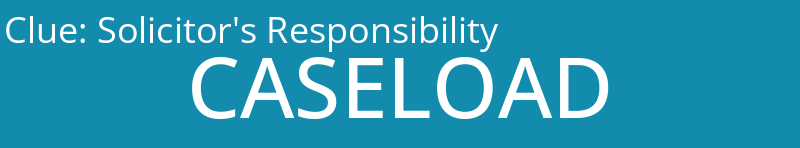 Solicitor's Responsibility