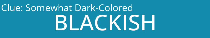 Somewhat Dark-Colored