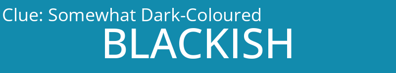 Somewhat Dark-Coloured