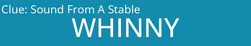 Sound From A Stable
