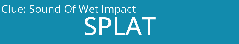 Sound Of Wet Impact