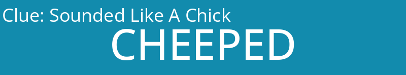 Sounded Like A Chick