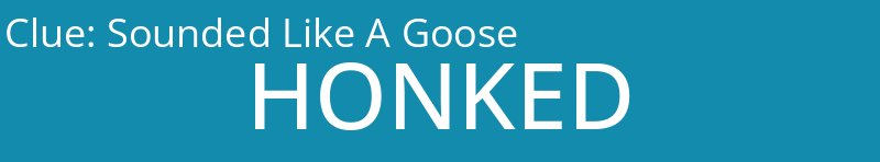 Sounded Like A Goose