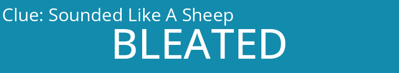 Sounded Like A Sheep