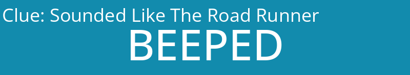 Sounded Like The Road Runner